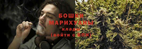 дурь Арсеньев